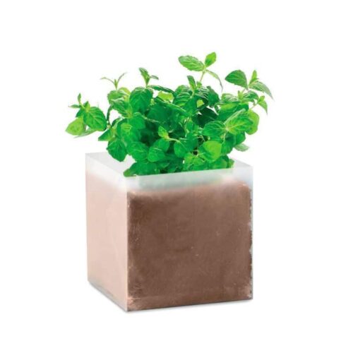 Planta menta personalizable