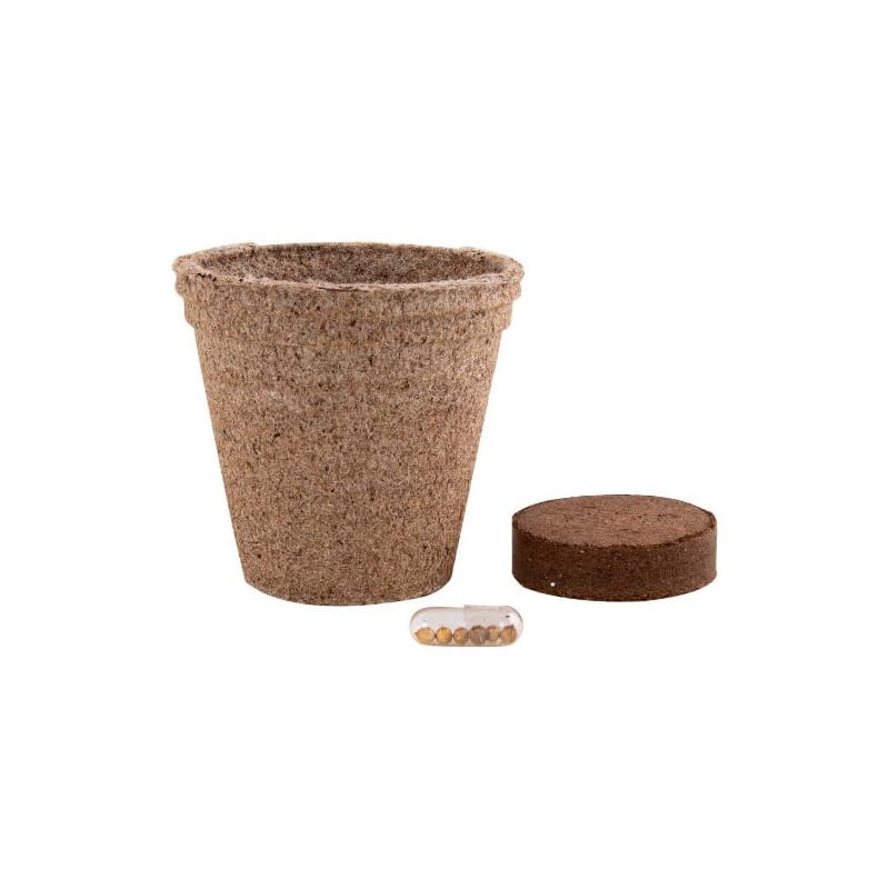 Maceta Biodegradable