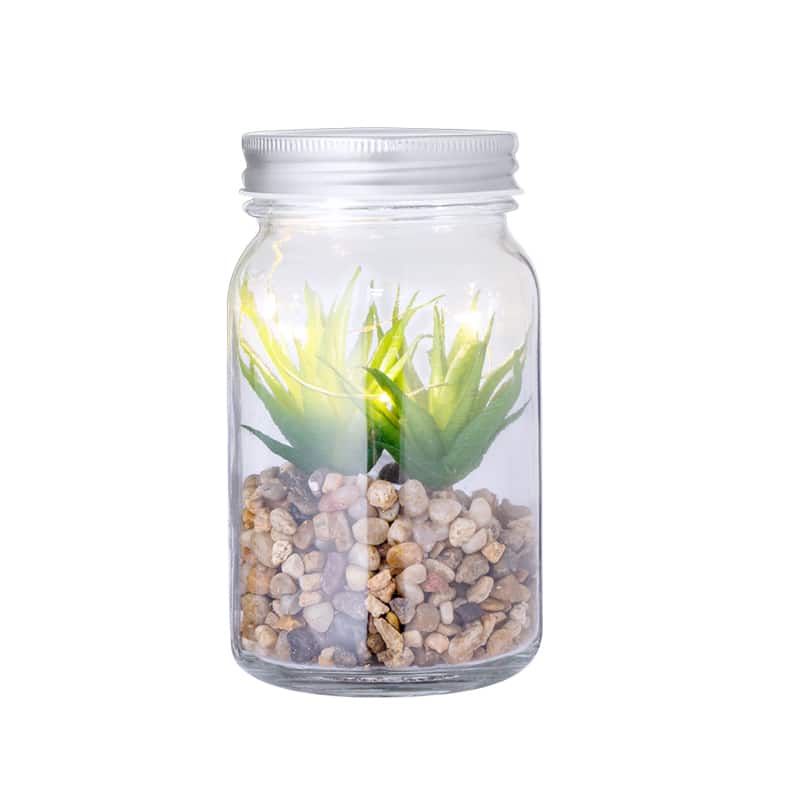 Planta decorativa