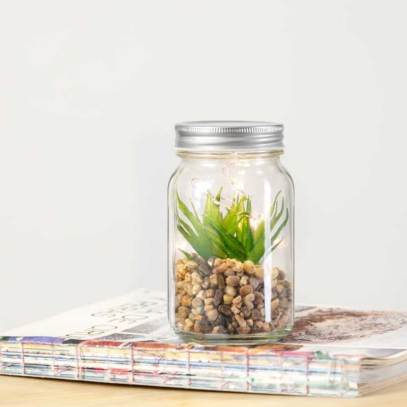 Planta decorativa ambiente